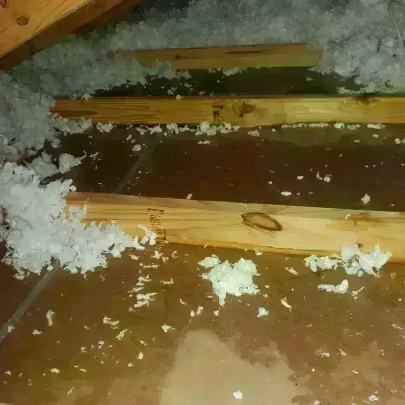 Attic Water Damage in Staunton, VA