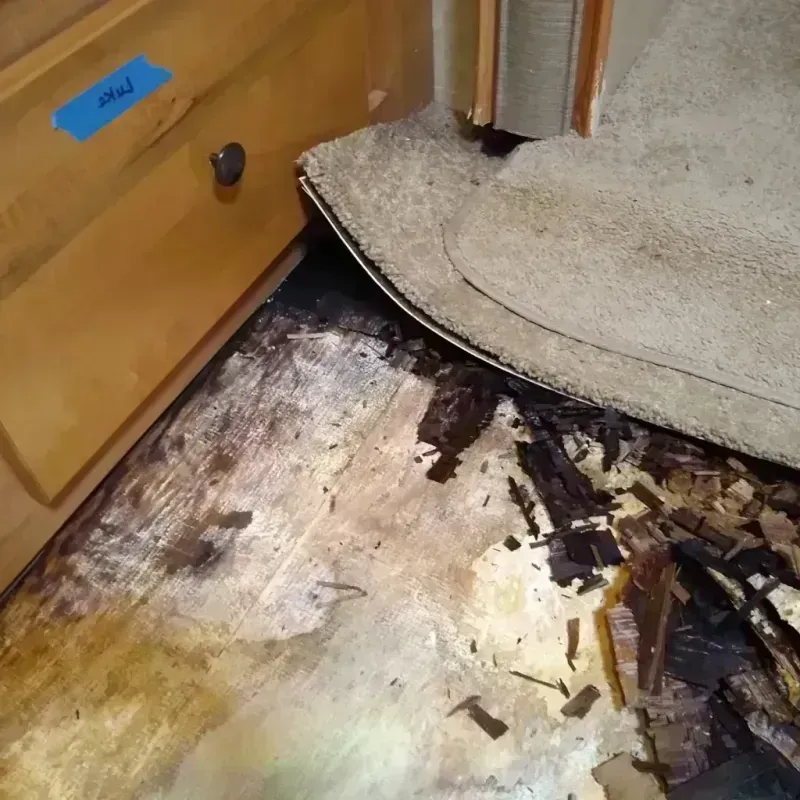 Best Wood Floor Water Damage Service in Staunton, VA